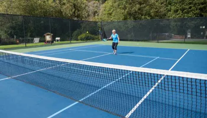 What is the Size of a Mini Pickleball Court? do you know
