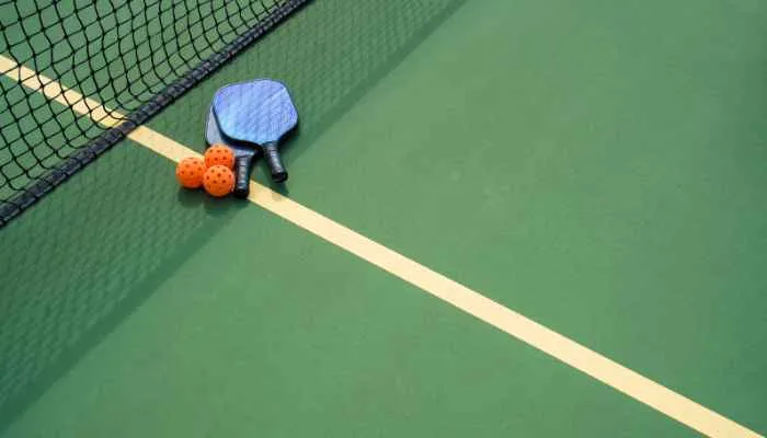 Can You Use a Badminton Net for Pickleball? ultimate guide