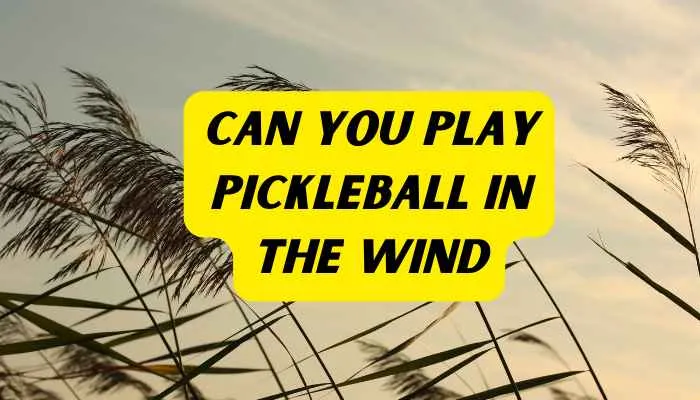 Can you play Pickleball in the wind