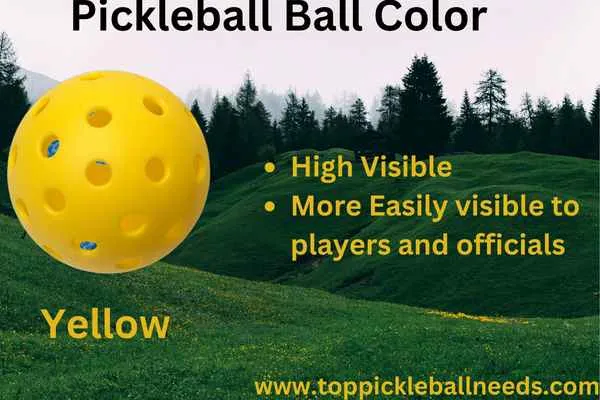 Pickleball Color Choice in Tournament and most popular pickleball color
