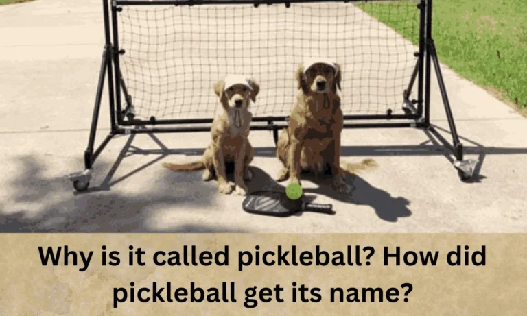 Why is it called pickleball? How did pickleball get its name?