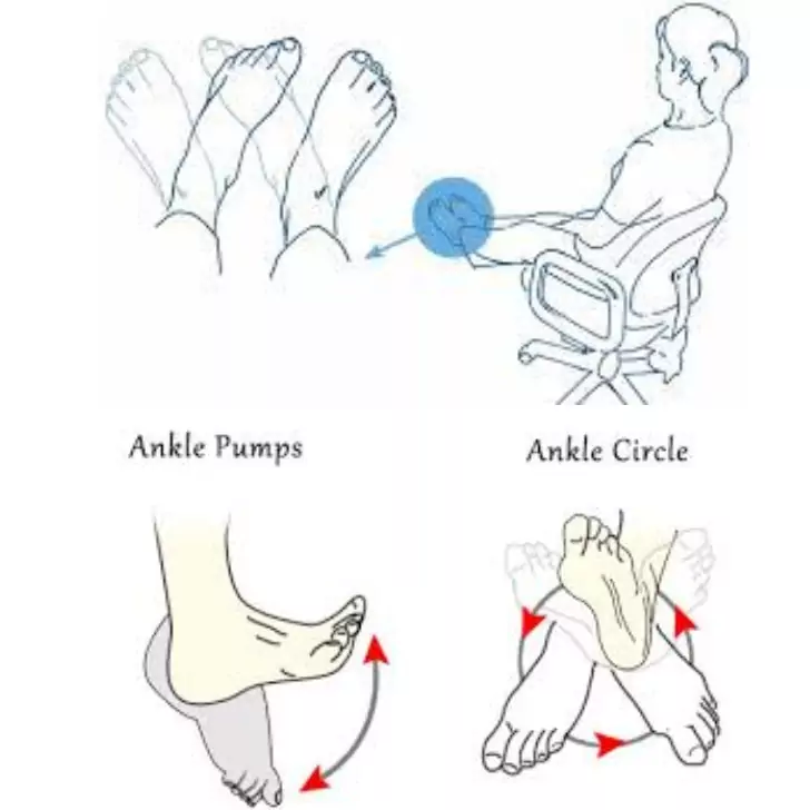 a diagram of a person's foot which tell about the Ankle Circles
