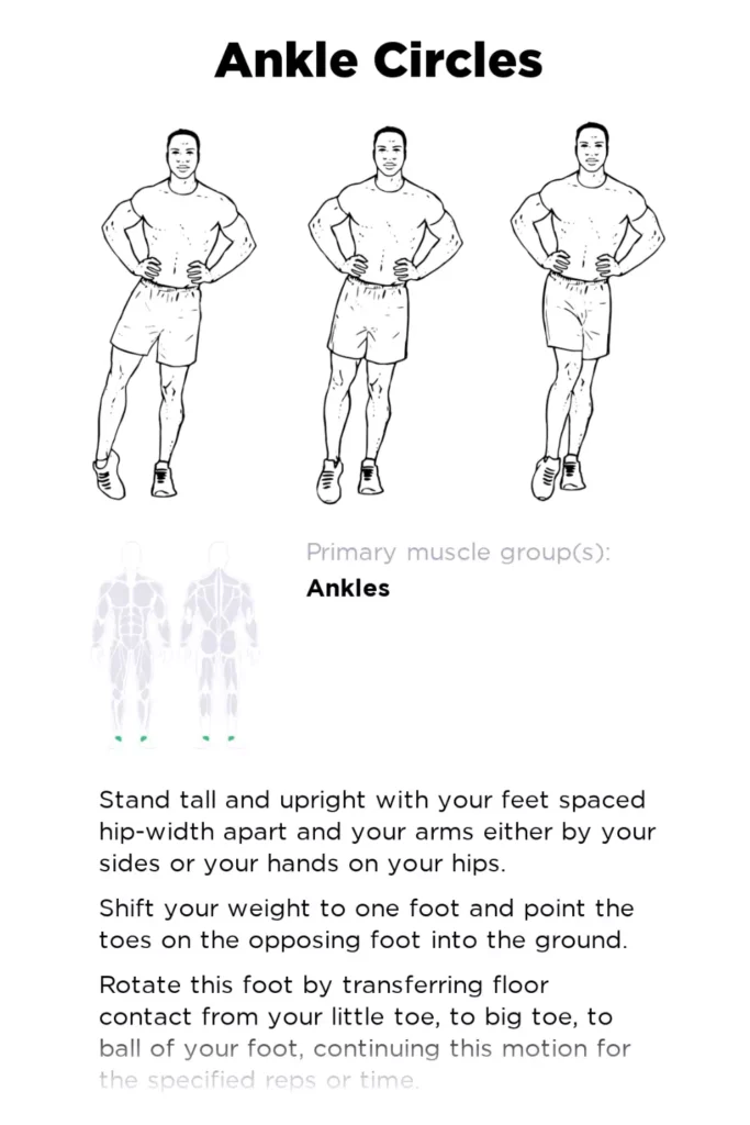  a diagram of a person's foot which tell about the Ankle Circles
